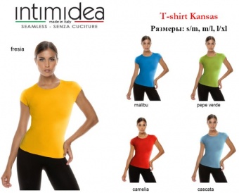 IN-T-Shirt Kansas (colour)